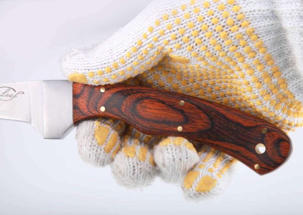 Fish Fillet Knife with Pakka Wood Handle and Sheath, 6.5" Full Tang Stainless Steel Blade for Kitchen Fishing Camping
