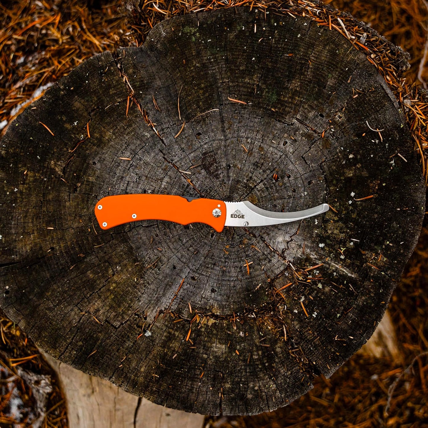 RazorBone Replaceable Blade Folding Hunting Knife with Clip & Sheath, 3 Butcher Knife Blade Styles - Boning, Gutting, & Skinning Knives. Blaze Orange, Camo Sheath, 6 Blades & Blade Box