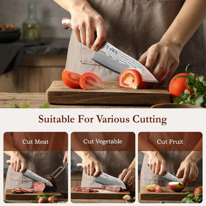 7.3'' Santoku Knife with Sheath – 67 Layers Damascus Steel, Professional Kitchen Knife for Meat, Fish & Vegetables, Micarta Handle