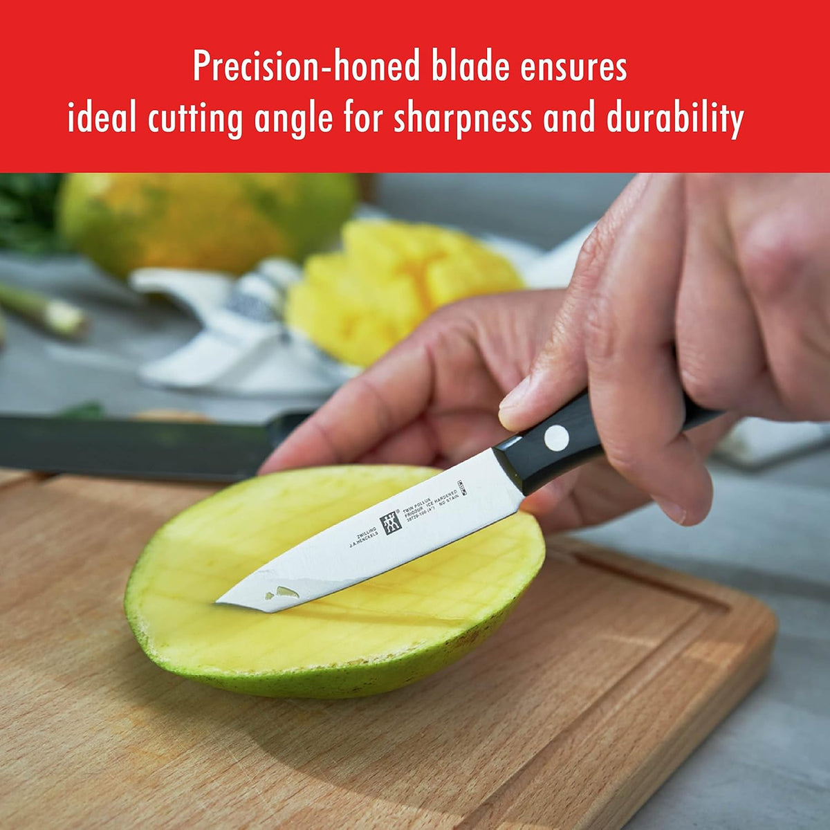 Twin Signature 15-Piece Razor-Sharp German Knife Block Set, Made in Company-Owned German Factory with Special Formula Steel perfected for almost 300 Years, Dishwasher Safe