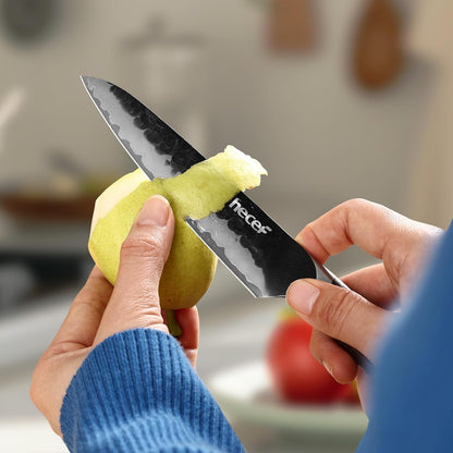 2-Piece Japanese Chef Knife Set, 9Cr18MoV High Carbon Stainless Steel Blades with Ergonomic Pakkawood Handles, Ultra Sharp 8-Inch Chef & 5-Inch Utility Kitchen Knives for Daily Meal Prep