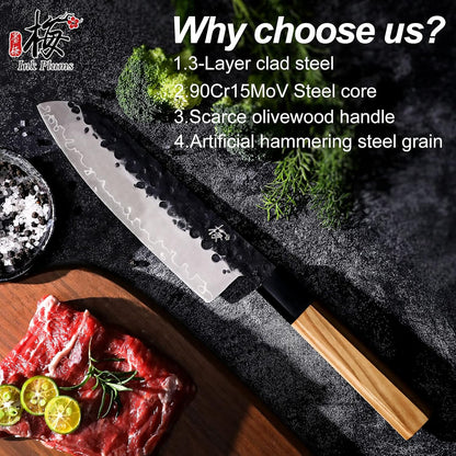 9 Inch Japanese Kiritsuke Chef Knife, Hand Forged High Carbon Steel Gyuto Kitchen Knife for Meat Fish Vegetables, Professional Cooking Knife with Olive Wood Octagonal Handle & Gift Box