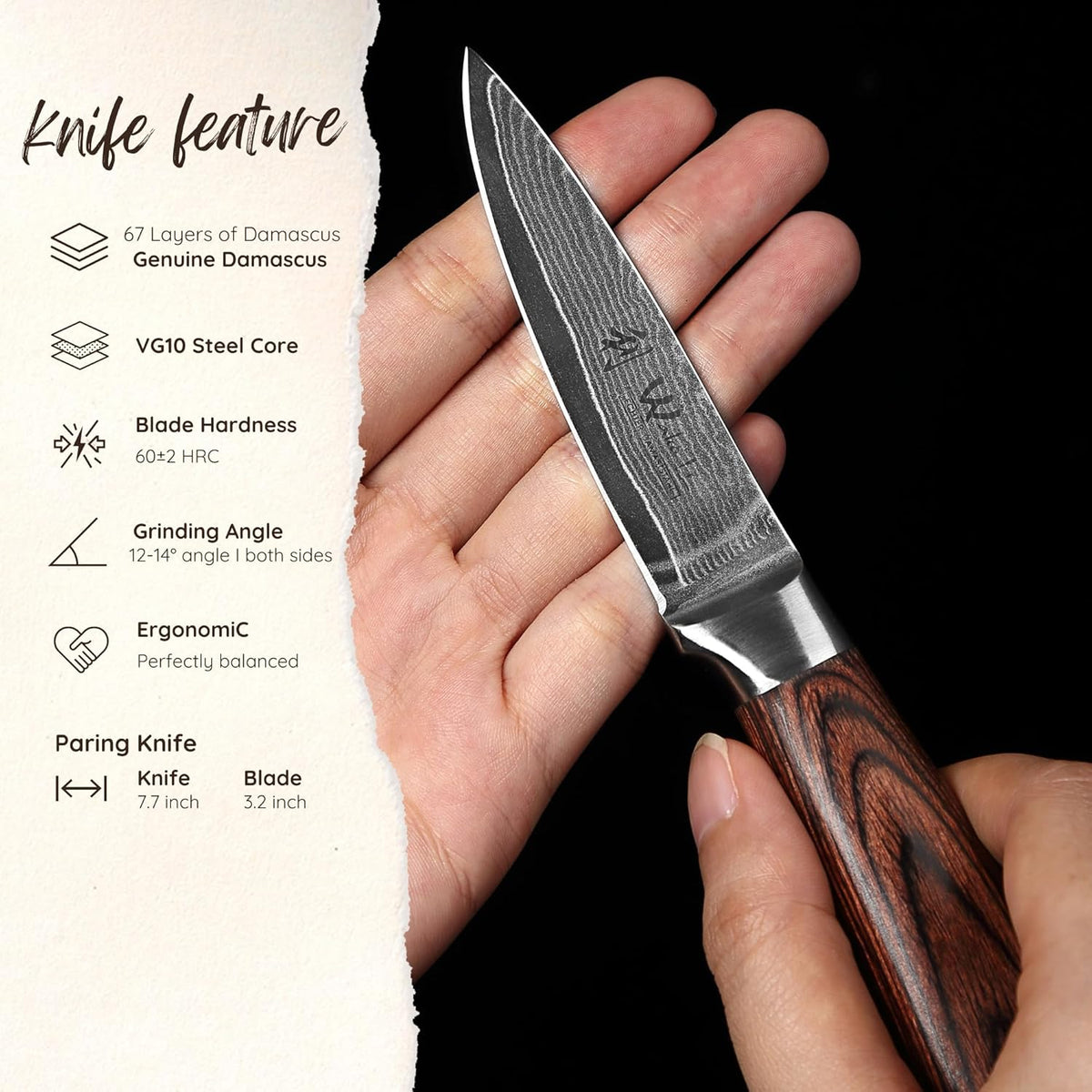 EDIB Meat Carving Knife, 7-Inch High Carbon Stainless Steel Blade | Meat knife for BBQ, roasts, and poultry, kitchen knife with VG10 Damascus blade and ergonomic pakkawood handle in gift box.