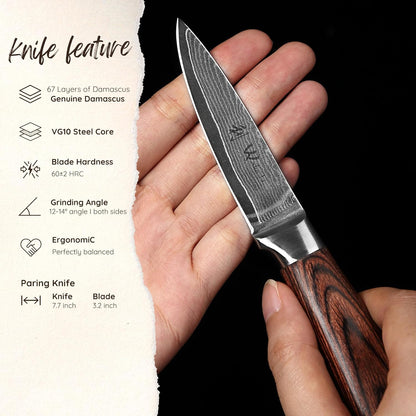 EDIB Meat Carving Knife, 7-Inch High Carbon Stainless Steel Blade | Meat knife for BBQ, roasts, and poultry, kitchen knife with VG10 Damascus blade and ergonomic pakkawood handle in gift box.