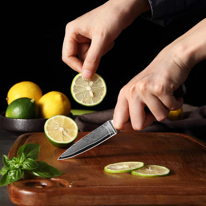 EDIB Meat Carving Knife, 7-Inch High Carbon Stainless Steel Blade | Meat knife for BBQ, roasts, and poultry, kitchen knife with VG10 Damascus blade and ergonomic pakkawood handle in gift box.