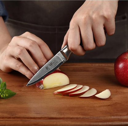 EDIB Meat Carving Knife, 7-Inch High Carbon Stainless Steel Blade | Meat knife for BBQ, roasts, and poultry, kitchen knife with VG10 Damascus blade and ergonomic pakkawood handle in gift box.