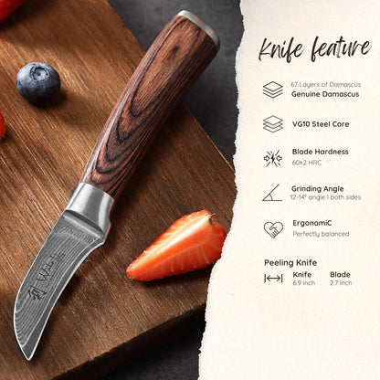 EDIB Meat Carving Knife, 7-Inch High Carbon Stainless Steel Blade | Meat knife for BBQ, roasts, and poultry, kitchen knife with VG10 Damascus blade and ergonomic pakkawood handle in gift box.