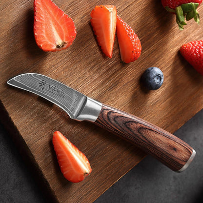 EDIB Meat Carving Knife, 7-Inch High Carbon Stainless Steel Blade | Meat knife for BBQ, roasts, and poultry, kitchen knife with VG10 Damascus blade and ergonomic pakkawood handle in gift box.