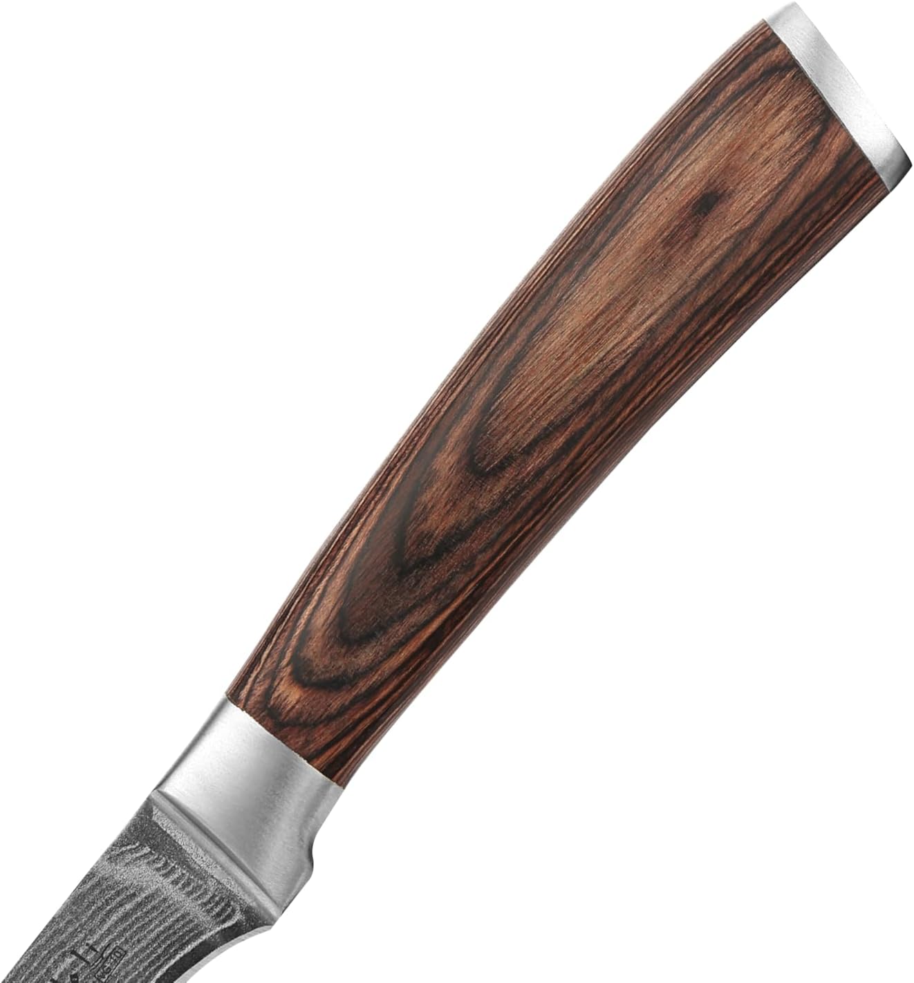 EDIB Meat Carving Knife, 7-Inch High Carbon Stainless Steel Blade | Meat knife for BBQ, roasts, and poultry, kitchen knife with VG10 Damascus blade and ergonomic pakkawood handle in gift box.