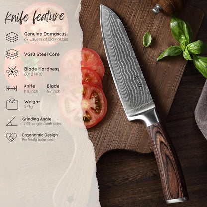 EDIB Meat Carving Knife, 7-Inch High Carbon Stainless Steel Blade | Meat knife for BBQ, roasts, and poultry, kitchen knife with VG10 Damascus blade and ergonomic pakkawood handle in gift box.