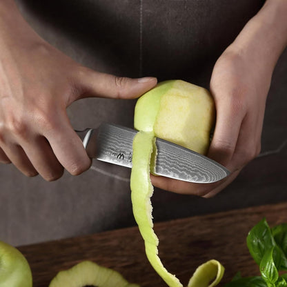 EDIB Meat Carving Knife, 7-Inch High Carbon Stainless Steel Blade | Meat knife for BBQ, roasts, and poultry, kitchen knife with VG10 Damascus blade and ergonomic pakkawood handle in gift box.