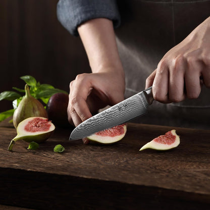 EDIB Meat Carving Knife, 7-Inch High Carbon Stainless Steel Blade | Meat knife for BBQ, roasts, and poultry, kitchen knife with VG10 Damascus blade and ergonomic pakkawood handle in gift box.