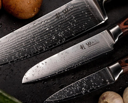 EDIB Meat Carving Knife, 7-Inch High Carbon Stainless Steel Blade | Meat knife for BBQ, roasts, and poultry, kitchen knife with VG10 Damascus blade and ergonomic pakkawood handle in gift box.