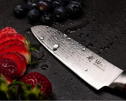 EDIB Meat Carving Knife, 7-Inch High Carbon Stainless Steel Blade | Meat knife for BBQ, roasts, and poultry, kitchen knife with VG10 Damascus blade and ergonomic pakkawood handle in gift box.