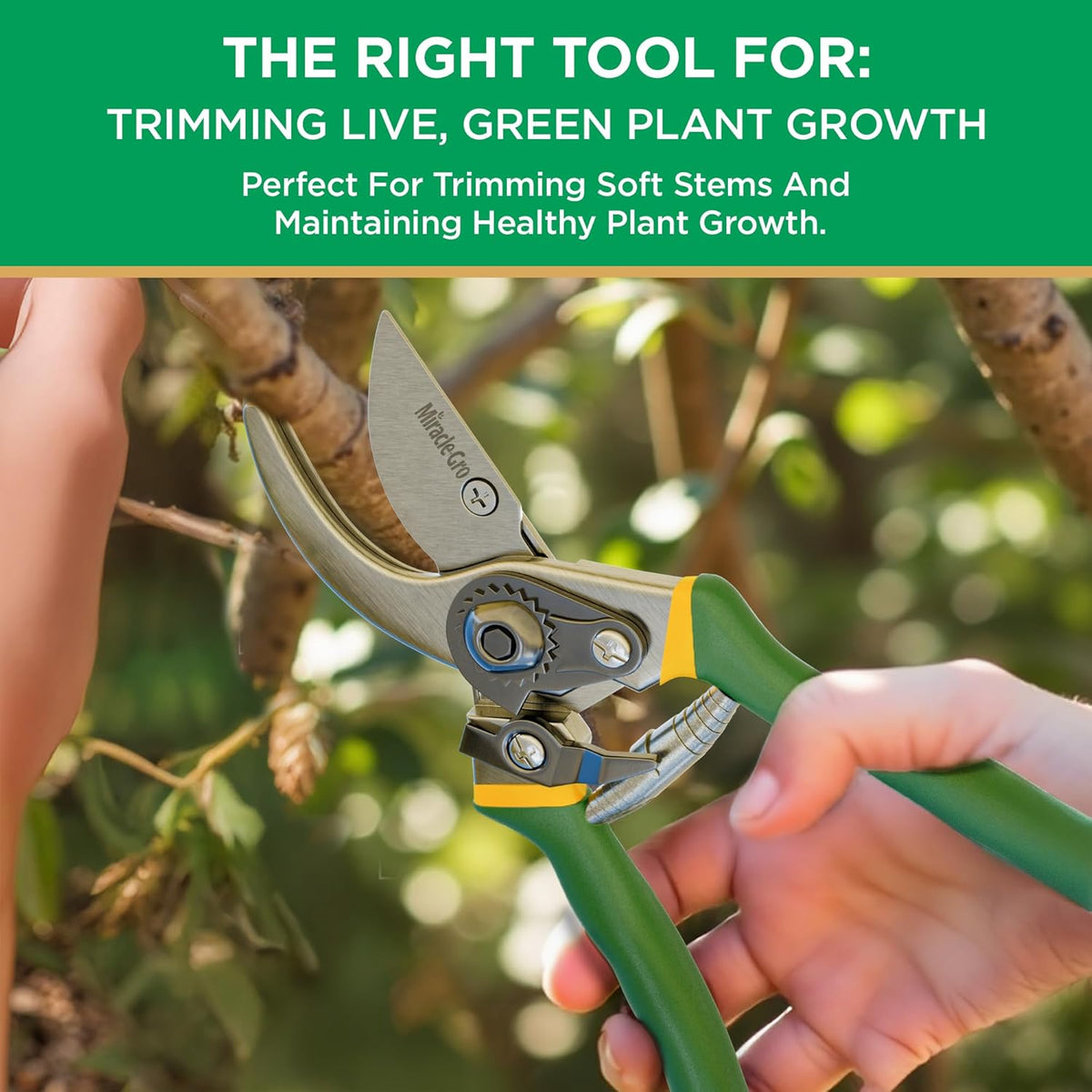 Straight Tip Floral Shears - Lightweight Gardening Scissors - Hand Pruner Pruning Shear for Flowers, Herbs, Roses and Indoor Plants