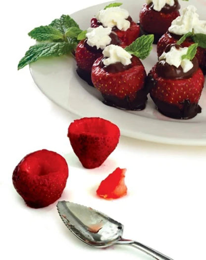GRAPEFRUIT SPOONS SET OF 4