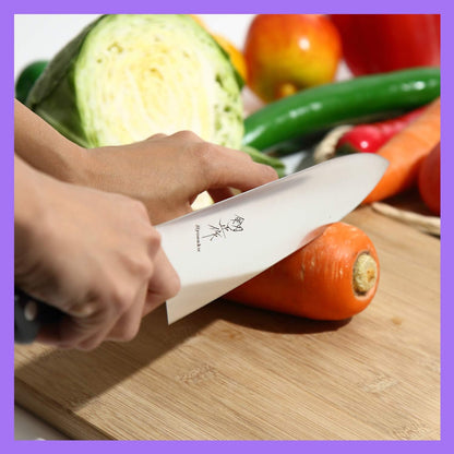 Japanese Chef Knife INOX AUS-8A Stainless Steel Black Pakkawood Handle, Gyuto 9.5-inch (240mm)