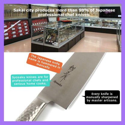 Japanese Chef Knife INOX AUS-8A Stainless Steel Black Pakkawood Handle, Gyuto 9.5-inch (240mm)