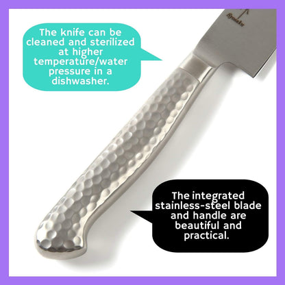 Japanese Chef Knife INOX AUS-8A Stainless Steel Black Pakkawood Handle, Gyuto 9.5-inch (240mm)
