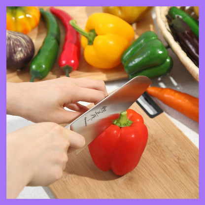 Japanese Chef Knife INOX AUS-8A Stainless Steel Black Pakkawood Handle, Gyuto 9.5-inch (240mm)