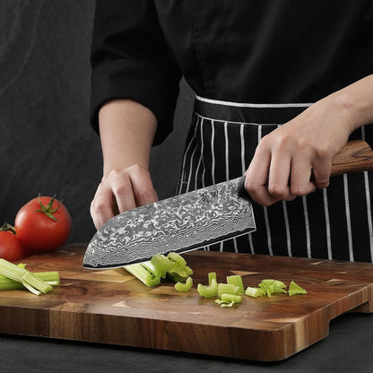 EDIB Pro Peeling Knife, 2.4" VG10 Damascus Blade, Pakkawood Handle | Peeling chef knife for apples, potatoes, citrus and tourné cuts, with close in-hand control for delicate shaping and trimming