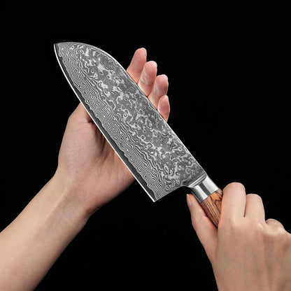 EDIB Pro Peeling Knife, 2.4" VG10 Damascus Blade, Pakkawood Handle | Peeling chef knife for apples, potatoes, citrus and tourné cuts, with close in-hand control for delicate shaping and trimming
