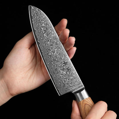 EDIB Pro Peeling Knife, 2.4" VG10 Damascus Blade, Pakkawood Handle | Peeling chef knife for apples, potatoes, citrus and tourné cuts, with close in-hand control for delicate shaping and trimming
