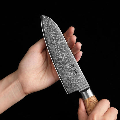 EDIB Pro Peeling Knife, 2.4" VG10 Damascus Blade, Pakkawood Handle | Peeling chef knife for apples, potatoes, citrus and tourné cuts, with close in-hand control for delicate shaping and trimming