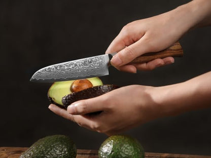 EDIB Pro Peeling Knife, 2.4" VG10 Damascus Blade, Pakkawood Handle | Peeling chef knife for apples, potatoes, citrus and tourné cuts, with close in-hand control for delicate shaping and trimming