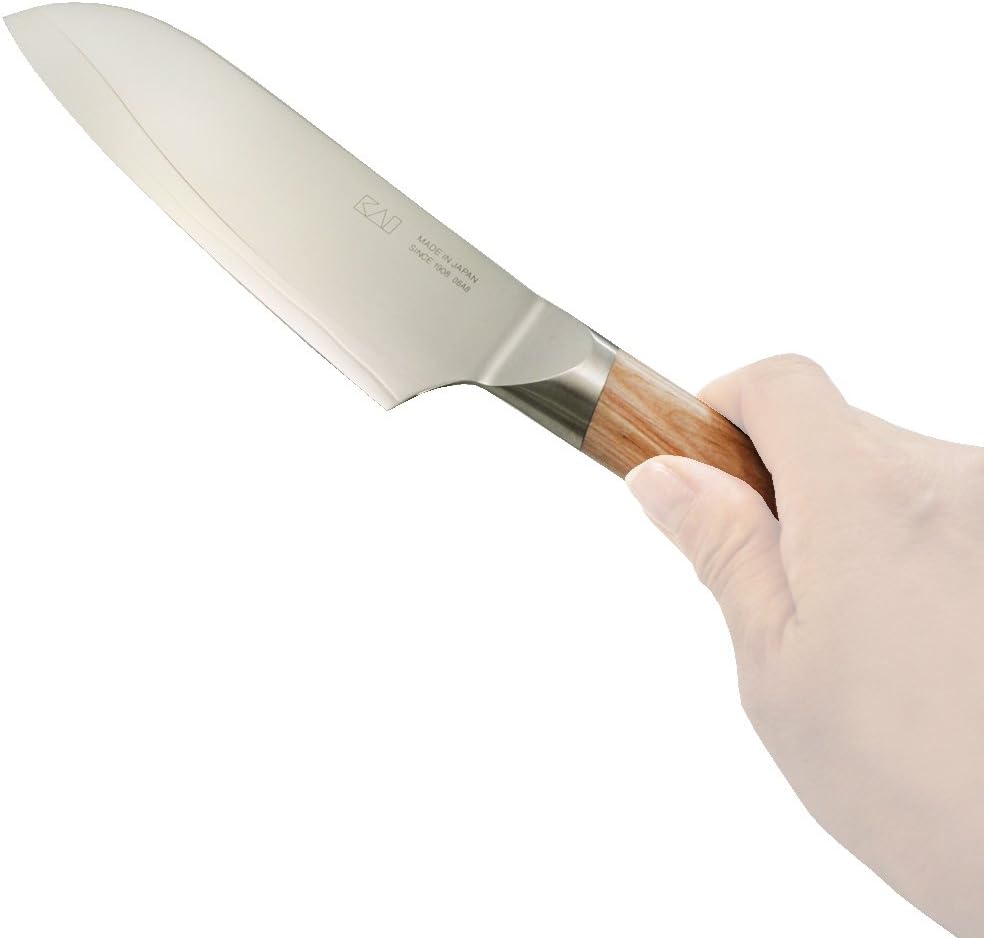 Seki Magoroku 10000CL Kitchen Knife, Petty Knife, 3.5 inches (90 mm), Made in Japan