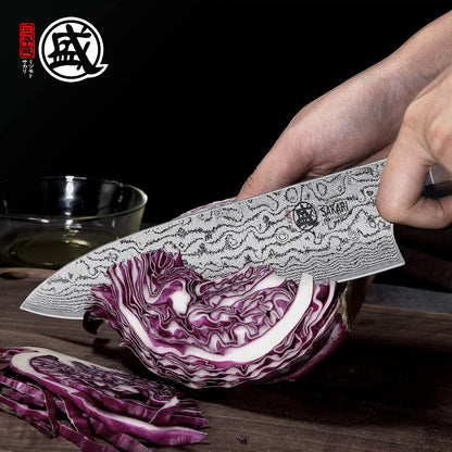 8 Inch Japanese Gyuto Chef Knife AUS-10 Damascus