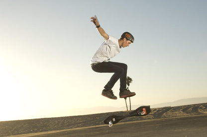 RipStik Caster Board Classic Collection, 2 Wheel Skateboard with 360-degree Casters, for Kids,Teens and Adults