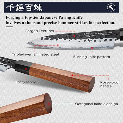 Japanese Knife Set with Block, Kitchen Knives Gift for Men & Women | Hand Forged 5-Layer 9CR18MOV Clad Steel Chef Knives with Rosewood Handles, Includes Chef, Santoku, Nakiri and Paring Knife