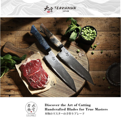 Japanese Gyutou 210mm Profession Santoku Handcrafted 8 inch Chef Knife Handmade Forged Knife Japan SG2 Powder Steel with Blue Wood Handle