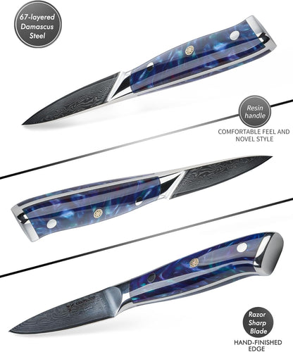 3.5 Inch Paring Knife - Kitchen Fruit Vegetable Knife Damascus Steel & Resin Handle - Xuan Series (Fantasy Orange)