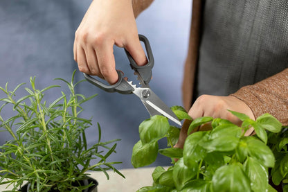 Pro Kitchen Shears | Micro-Serrated Blades, Quick Release Spring, Self-Sharpening Blade