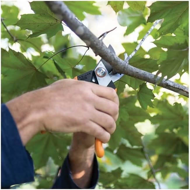 Bypass Pruning Shears, Branch Cutter with 5/8" Cut Capacity, Garden Shears with Sharp Steel Blade, Rust Resistant, Ergonomic Pruners with Comfort Handle and Safety Lock, Gardening Hand Tools