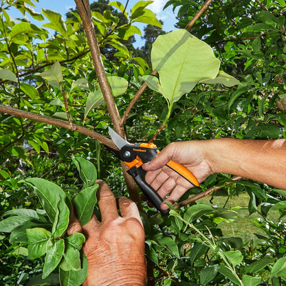 Bypass Pruning Shears, Branch Cutter with 5/8" Cut Capacity, Garden Shears with Sharp Steel Blade, Rust Resistant, Ergonomic Pruners with Comfort Handle and Safety Lock, Gardening Hand Tools