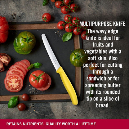 4-Inch Swiss Classic Paring Knife with Straight Blade, Spear Point, Red
