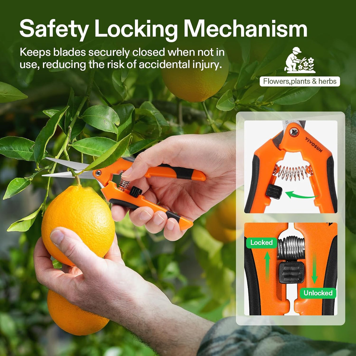 6.5 Inch Gardening Scissors Hand Pruner Pruning Shear with Straight Stainless Steel Blades Orange 1-Pack | Straight Precision Stainless Steel Blades, Comfort Ergonomic Grips, Ideal Snip for deadheading, trimming & shaping plants
