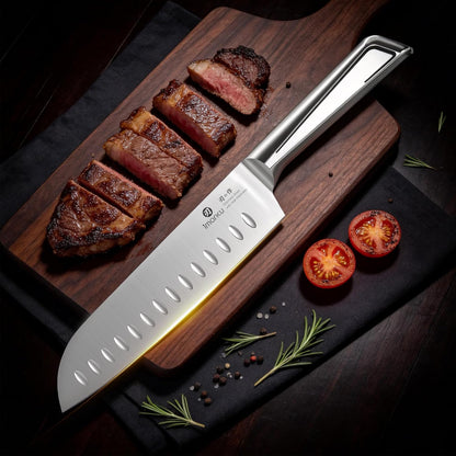 Santoku Knife 5 Inch, Japanese High Carbon Stainless Steel | Ultra Sharp Kitchen Knife, Chef Knife for Cutting Vegetable Meat, Ergonomic Pakkawood Handle, Best Choice for Home Kitchen