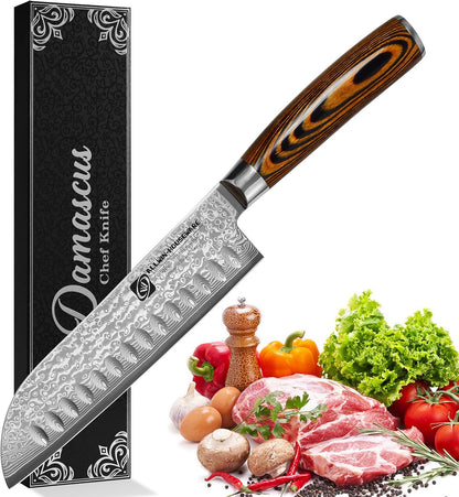 3.5-Inch Damascus Paring Kitchen Knife, VG10 Steel Core, Pakkawood Handle | 12-degree Edge for Peeling, Coring, Garnishing and Fine Fruit or Vegetable Prep; 67-layer Cladding and Gift Box Included