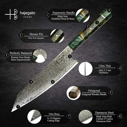 Damascus Chef Knife Kiritsuke Unique One Of Kind Handle Professional 8 Inch Japanese Chefs Kitchen Knife Vg10 67 Layers Damascus Steel Knive with Sheath