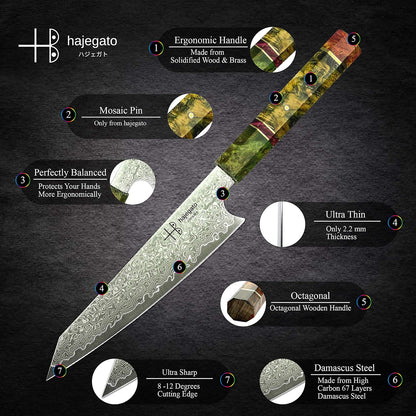 Damascus Chef Knife Kiritsuke Unique One Of Kind Handle Professional 8 Inch Japanese Chefs Kitchen Knife Vg10 67 Layers Damascus Steel Knive with Sheath