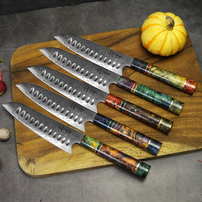 Damascus Chef Knife Kiritsuke Unique One Of Kind Handle Professional 8 Inch Japanese Chefs Kitchen Knife Vg10 67 Layers Damascus Steel Knive with Sheath