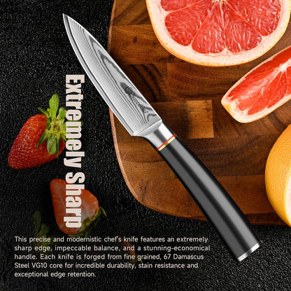 Damascus Paring Knife,Japanese VG10 Core Steel Damascus Fruit Knife,Professional Razor Sharp Small Kitchen Knives with Knives Sharpner