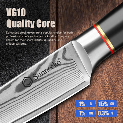 Damascus Paring Knife,Japanese VG10 Core Steel Damascus Fruit Knife,Professional Razor Sharp Small Kitchen Knives with Knives Sharpner