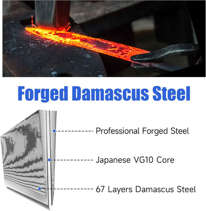 Damascus Paring Knife,Japanese VG10 Core Steel Damascus Fruit Knife,Professional Razor Sharp Small Kitchen Knives with Knives Sharpner