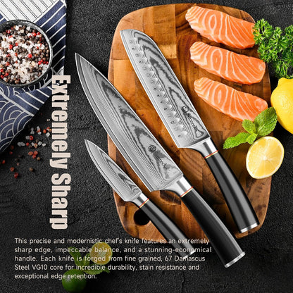 Damascus Paring Knife,Japanese VG10 Core Steel Damascus Fruit Knife,Professional Razor Sharp Small Kitchen Knives with Knives Sharpner