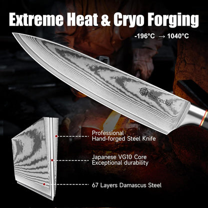 Damascus Paring Knife,Japanese VG10 Core Steel Damascus Fruit Knife,Professional Razor Sharp Small Kitchen Knives with Knives Sharpner